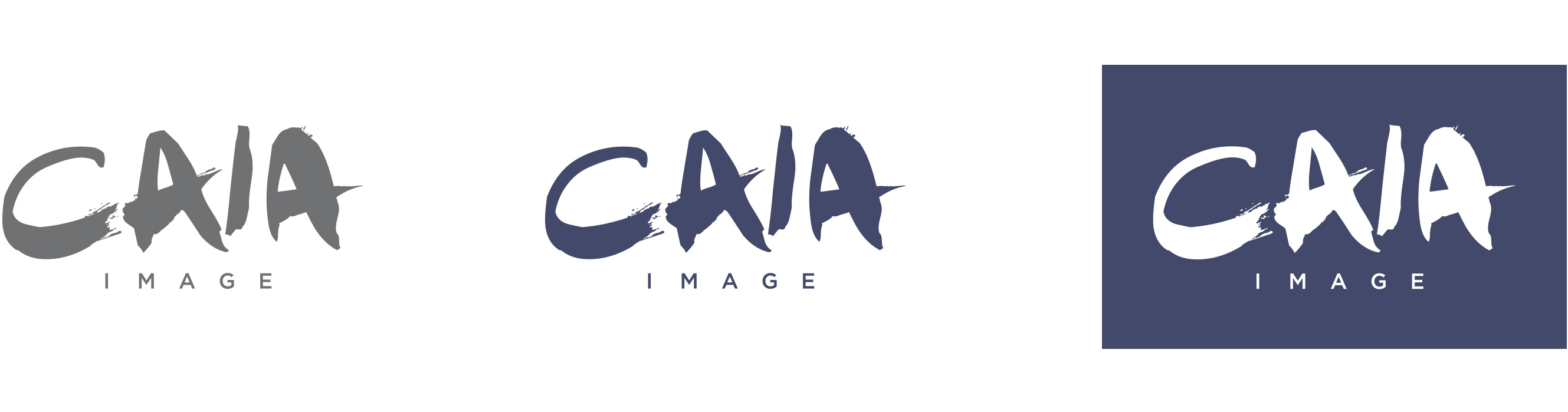 Caia Image